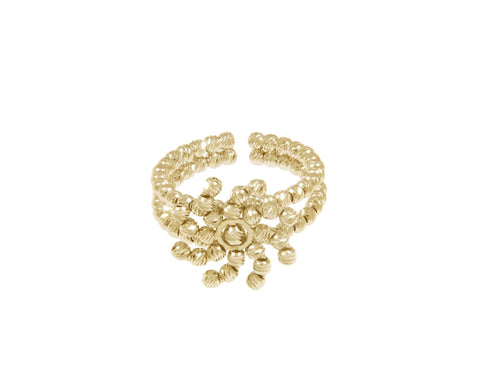 Anello ELICA